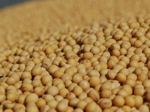 Nutritional and economic differences in soybean meal from different countries