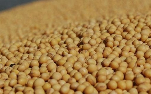 Nutritional and economic differences in soybean meal from different countries