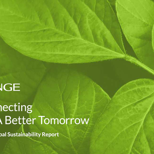 Bunge surpasses non-deforestation and sustainability targets in indirect supply chains in South America
