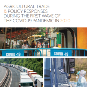 FAO report on agricultural trade and policy responses during the first wave of the COVID-19 pandemic