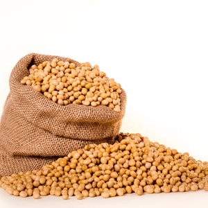 Study suggests the need to re-evaluate fumonisin guidance values in fish feeds