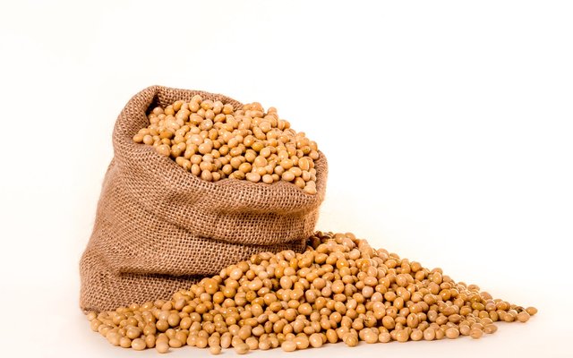 Study suggests the need to re-evaluate fumonisin guidance values in fish feeds