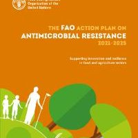 FAO releases five-year action plan on antimicrobial resistance