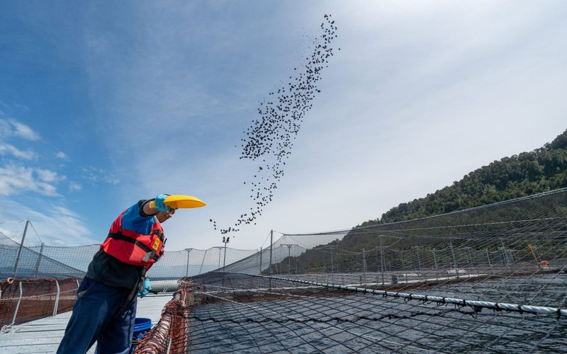 ASCs new documents to operationalize the new Feed Standard