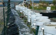 Call for projects to address economic and market needs of the U.S. aquaculture industry