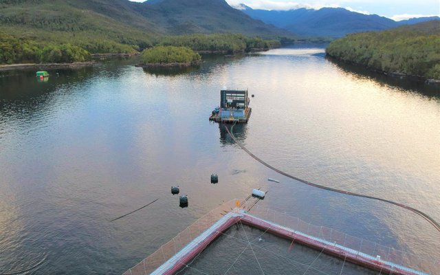 Cargill shares Atlantic salmon results at Australis production center