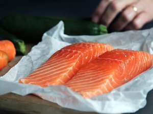 Nutreco partners to establish land-based Atlantic salmon farming facility in Japan