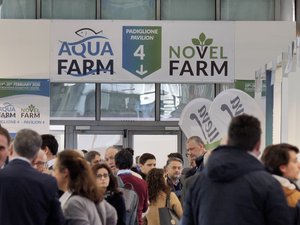 AquaFarm to discuss potential solutions for rising aquaculture production costs