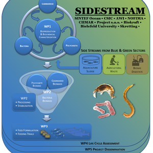 EU project to produce novel aquafeed ingredients from side streams