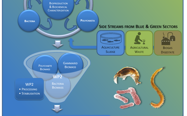 EU project to produce novel aquafeed ingredients from side streams