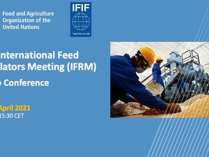 IFIF, FAO meeting discuss critical issues facing the feed industry