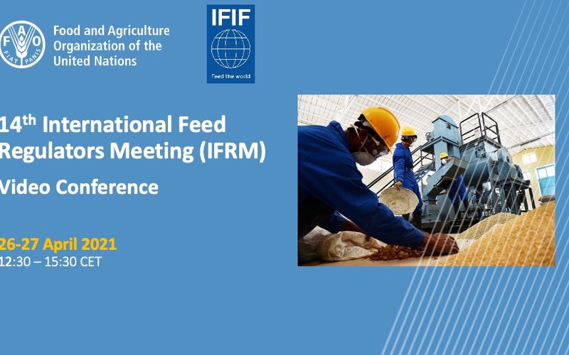 IFIF, FAO meeting discuss critical issues facing the feed industry