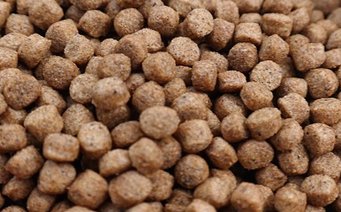 New aquaculture feed mill in Sri Lanka