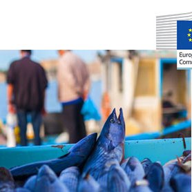 Decreased supply and consumption of fisheries and aquaculture products in Europe