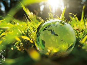 Leiber sets sustainability strategy