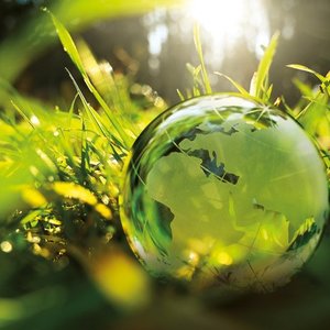 Leiber sets sustainability strategy