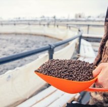 New version of GLOBALG.A.P. feed manufacturing standard tightens sustainability requirements