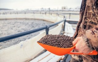 New version of GLOBALG.A.P. feed manufacturing standard tightens sustainability requirements