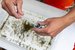 US project to test alternative ingredients to help minimize water pollution