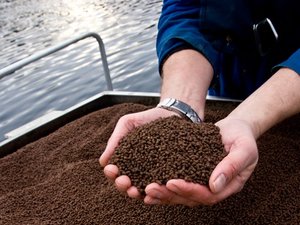 New project to develop fish feed on local waste streams