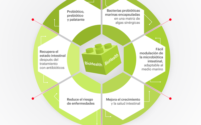 Salmofood unveils nutritional supplement based on marine probiotics