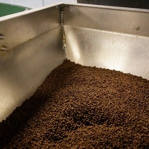 Low levels of unwanted substances in Norwegian fish feed