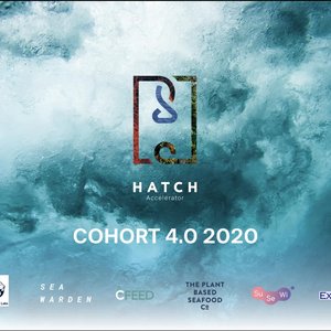 Hatch accelerator program unveils selected startups