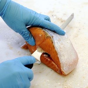 No illegal compounds found in Norwegian farmed salmon