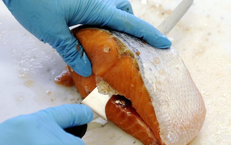 No illegal compounds found in Norwegian farmed salmon