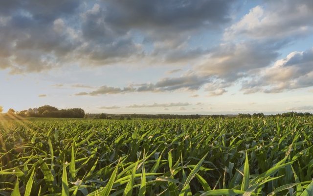 Bunge commits to climate action with science-based targets to reduce GHG emissions