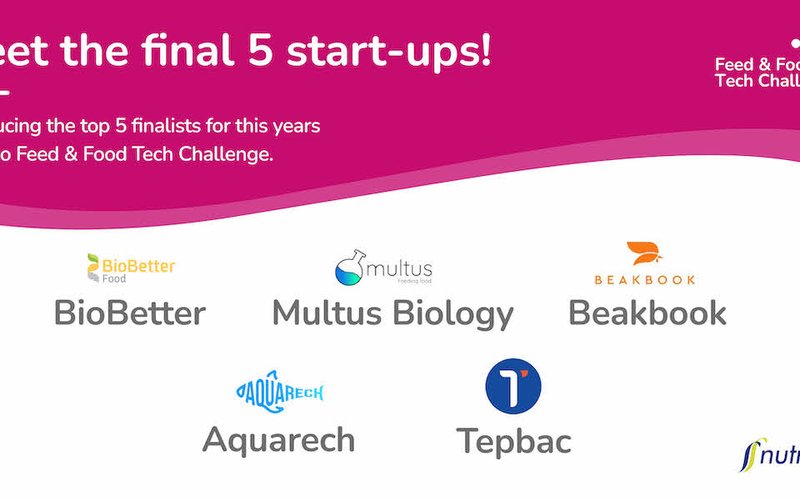 Aquaculture digital platforms selected for Nutrecos Feed & Food Tech Challenge finalists
