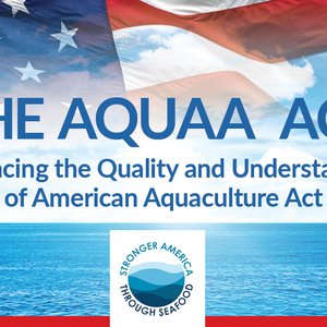 Offshore aquaculture bipartisan bill reintroduced in U.S. congress