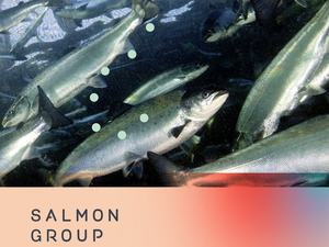 Fish welfare in fish farming - What is that?