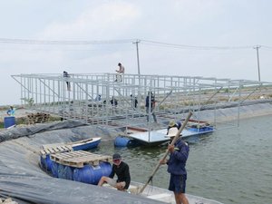 U.S. soy targets Vietnamese pangasius farmers through in-pond raceway systems