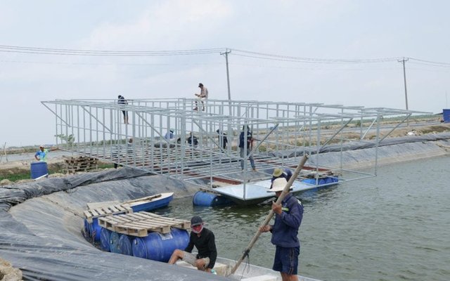 U.S. soy targets Vietnamese pangasius farmers through in-pond raceway systems