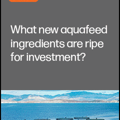 Join F3 webinar on aquafeed investors