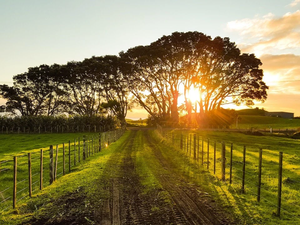 Nutrecos 2020 Sustainability Report introduces new strategy