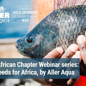 Aller Aqua, WAS African Chapter to hold webinar series on aquafeeds for Africa