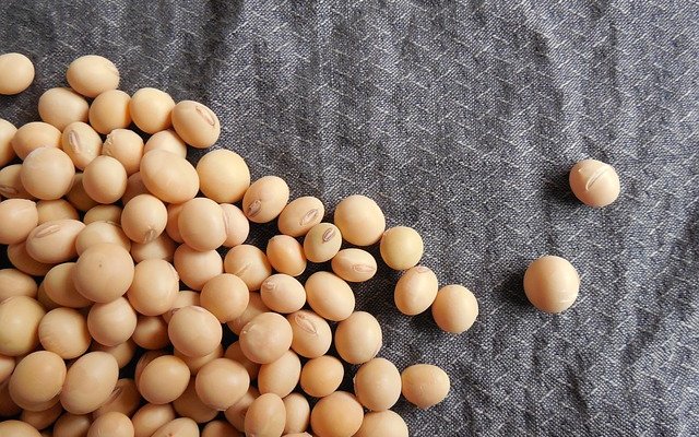 Cargill to expand soy processing operations