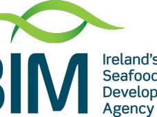 Apply for Irish aquaculture innovation workshop