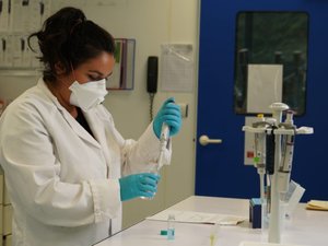 Worlds first industrial genomic selection program for insects launched