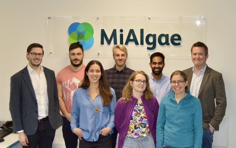 Whisky distillation waste to produce microalgae for aquafeeds