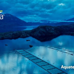 Friend of the Sea certifies Aquaterra for sustainable omega-3 oil