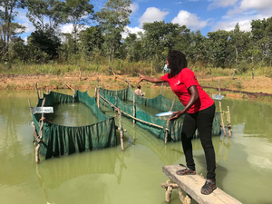 WorldFish project to develop low-cost aquafeeds in Sub-Saharan Africa