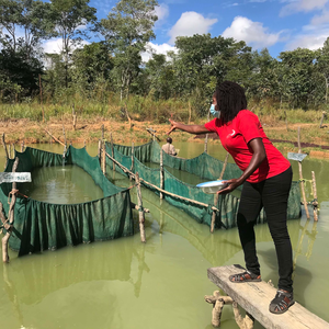 WorldFish project to develop low-cost aquafeeds in Sub-Saharan Africa