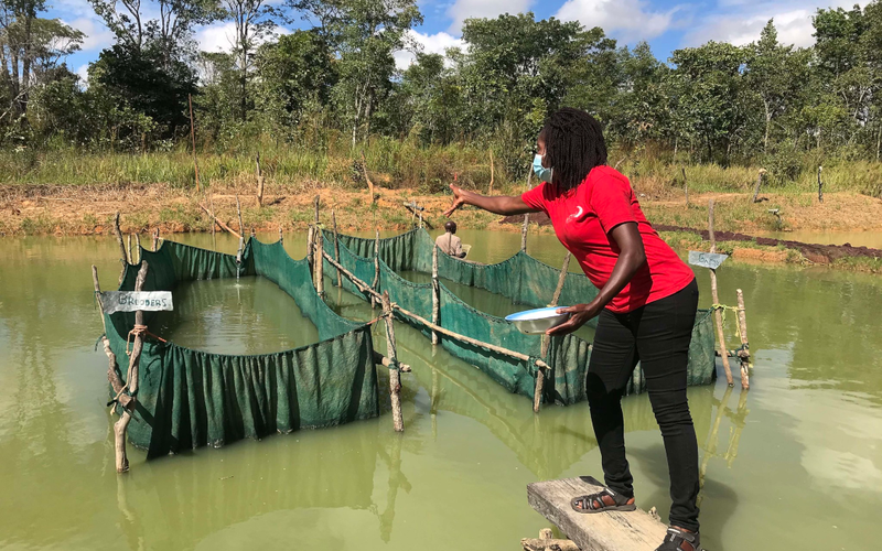 WorldFish project to develop low-cost aquafeeds in Sub-Saharan Africa