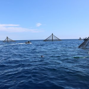 NOAA requests information for aquaculture opportunity areas