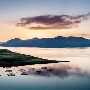 SAIC secures £10 million for sustainable growth of Scottish aquaculture