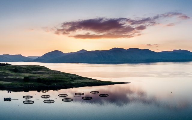 SAIC secures £10 million for sustainable growth of Scottish aquaculture