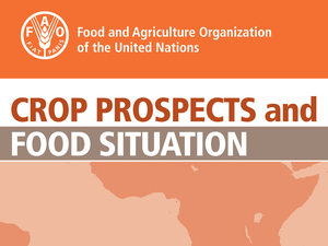 FAO forecasts all-time high global cereal production